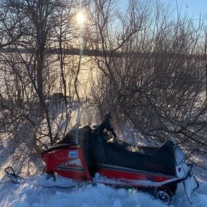 Meet your Posher, Spencer